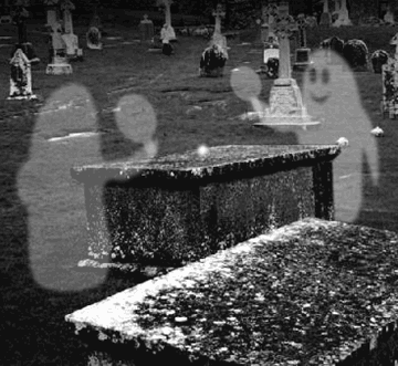 tumblr_kwyazrfW9s1qb015jo1_400.gif