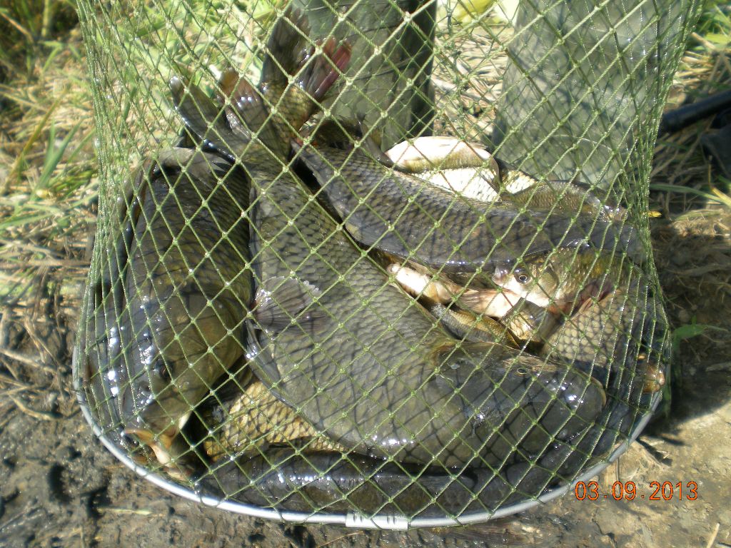 DSCN5713.JPG