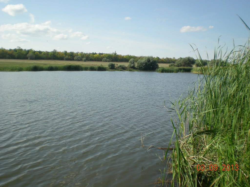 DSCN5708.JPG